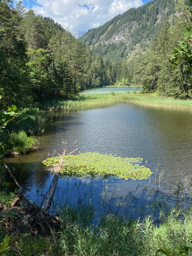 Appartamento Haus Sonnenspitze - Fam. Nessler Biberwier Esterno foto