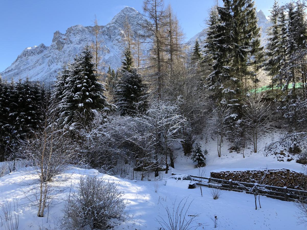 Appartamento Haus Sonnenspitze - Fam. Nessler Biberwier Esterno foto